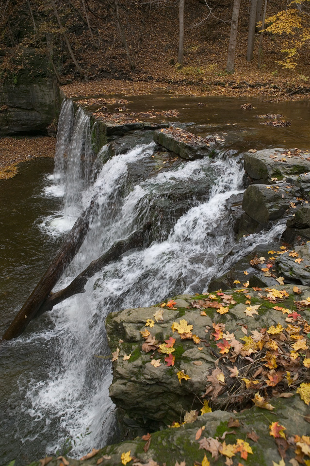 GreatGullyFalls_Sideview2.jpg