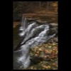 GreatGullyFalls_Sideview2_tn.jpg