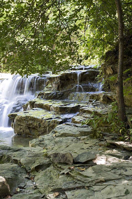 Hecht_Great_Gully_Falls_Sideview.jpg