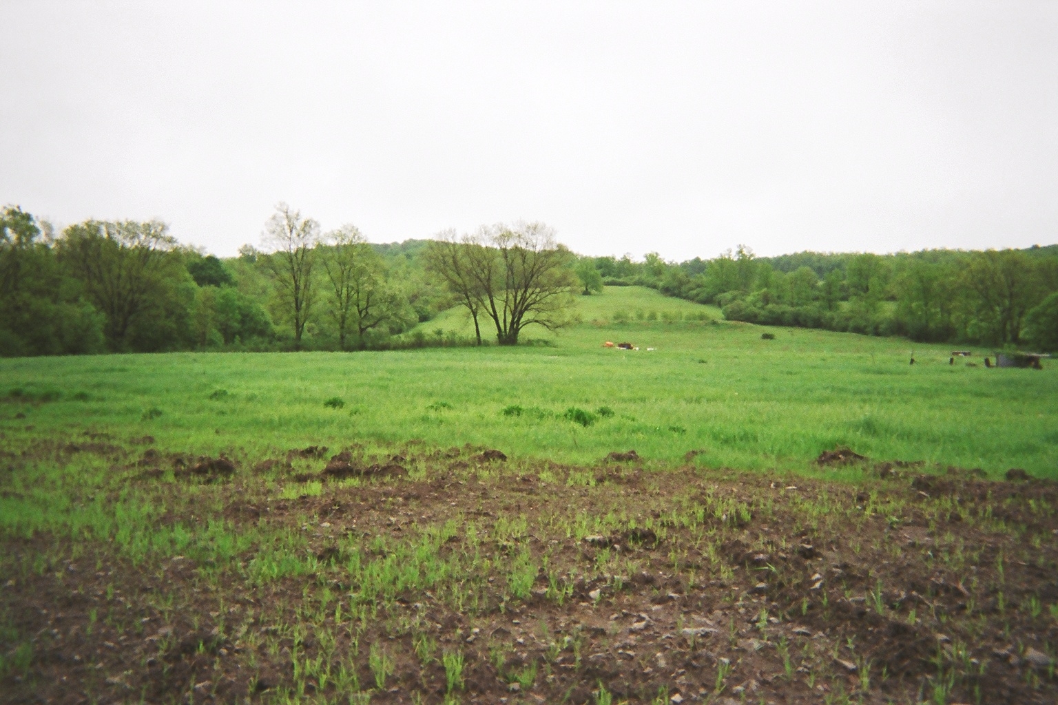 Onondaga_Castle_Site_02.jpg