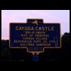 cayugacastle_tn.jpg