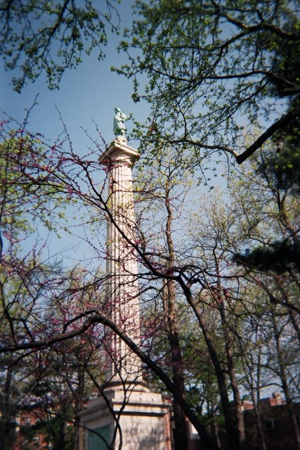 Hudson_Trees_Sky_Distance.sized.jpg