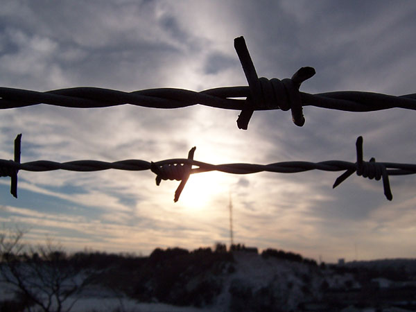 Barbed_Wire_Future2.jpg