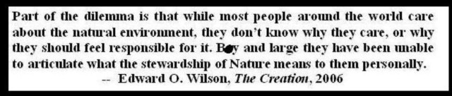 Stewardship_EOWilson.sized.jpg